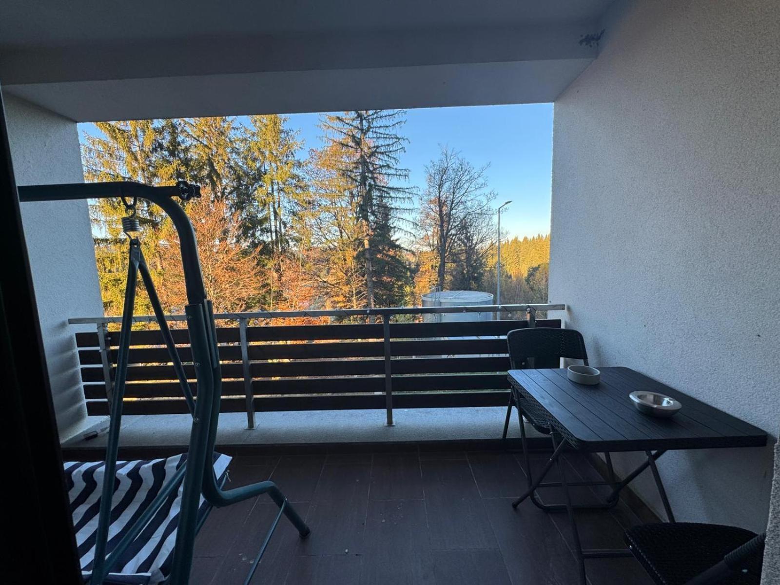 Apartment "Mountain Relax" 波亚纳布拉索夫 外观 照片