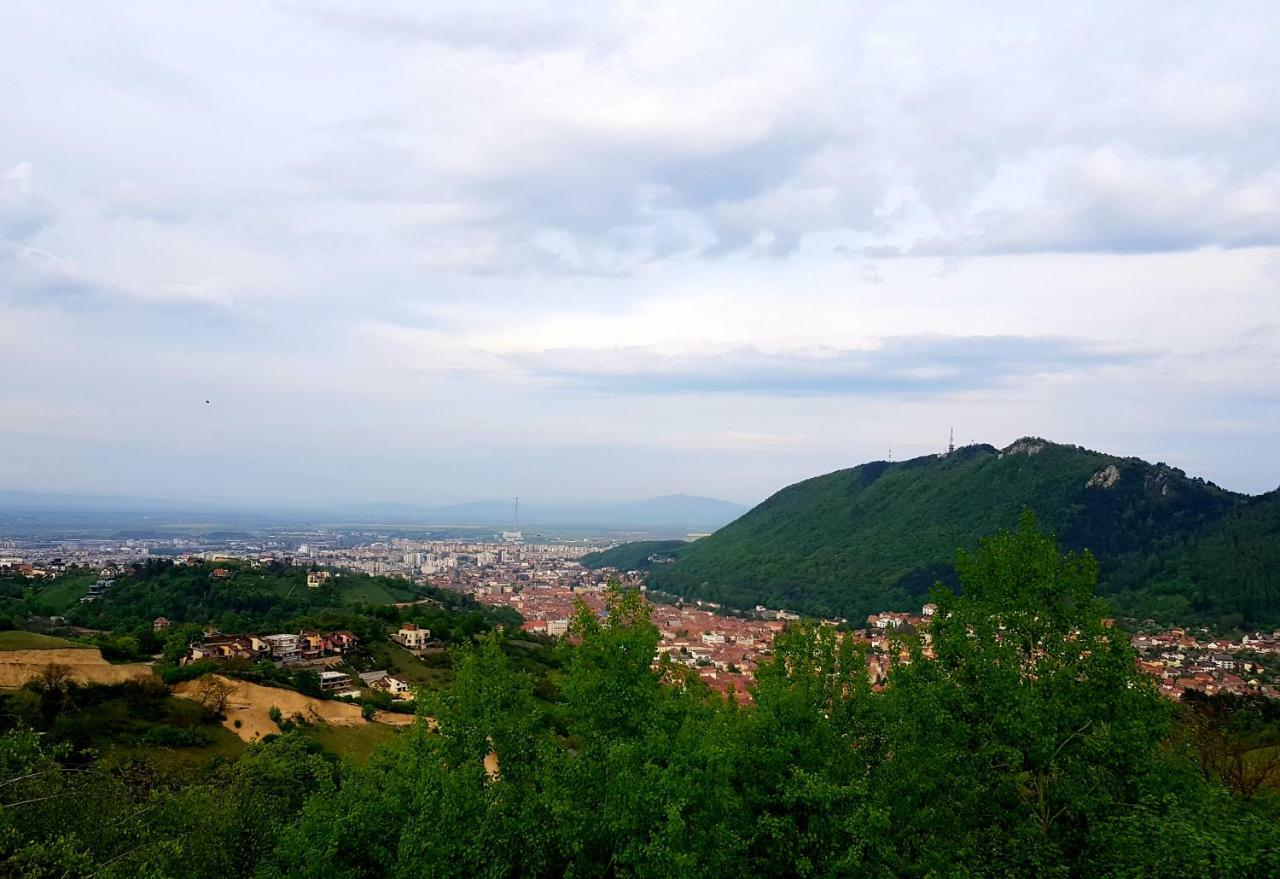 Apartment "Mountain Relax" 波亚纳布拉索夫 外观 照片